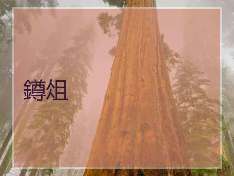 鐏俎