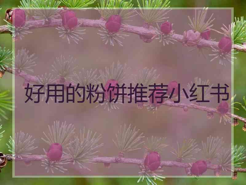好用的粉饼推荐小红书
