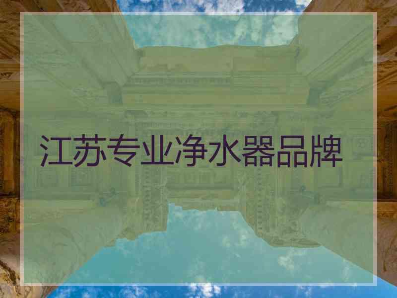 江苏专业净水器品牌