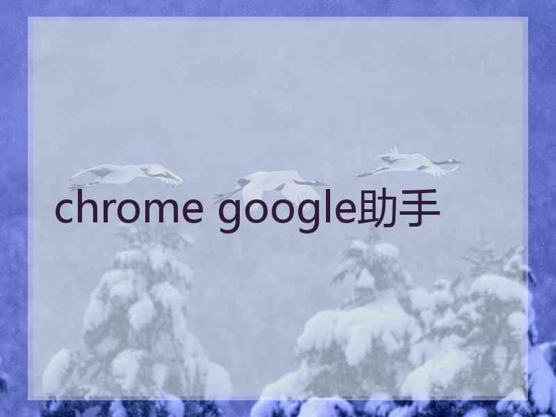 chrome google助手