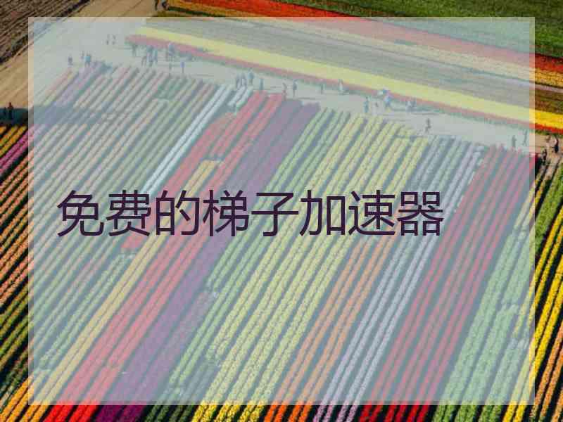 免费的梯子加速器