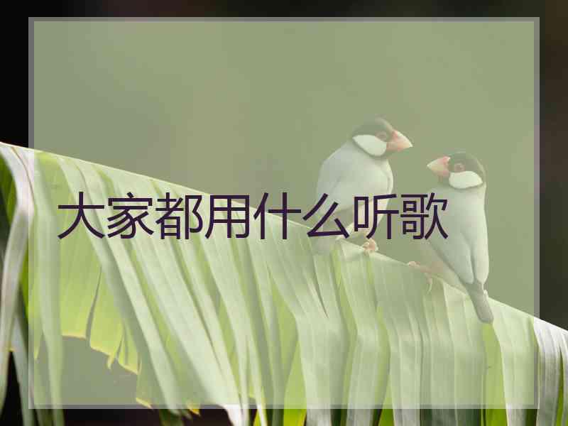 大家都用什么听歌