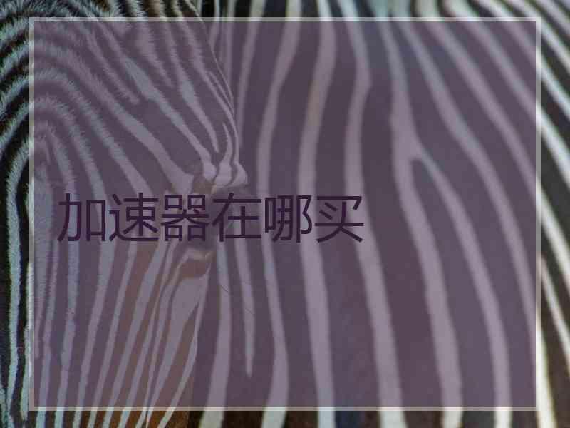 加速器在哪买