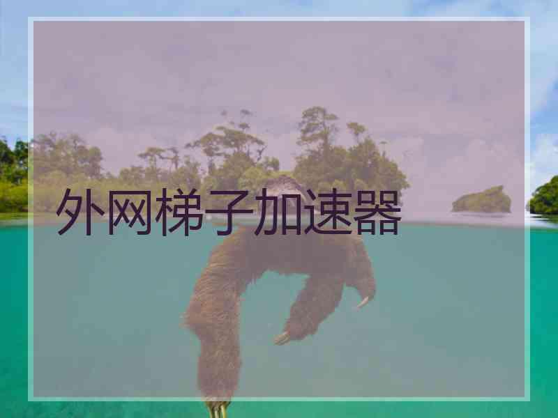 外网梯子加速器