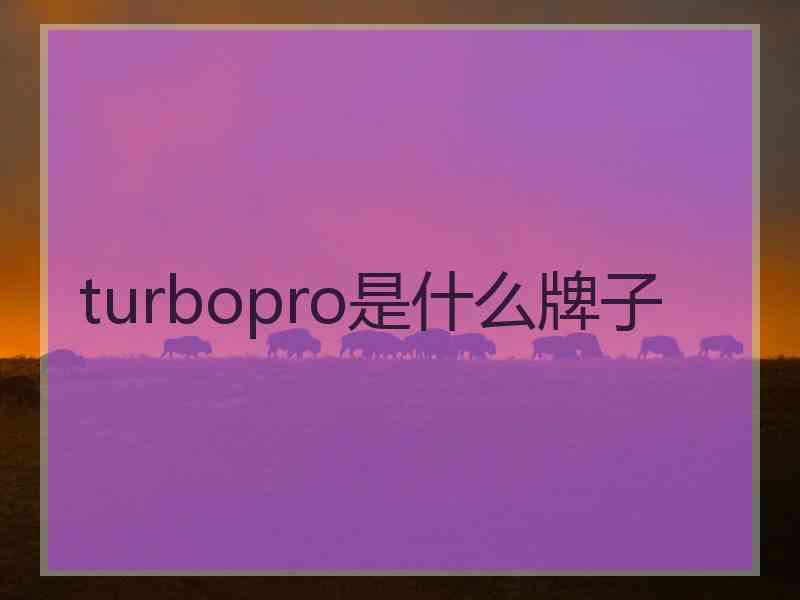 turbopro是什么牌子