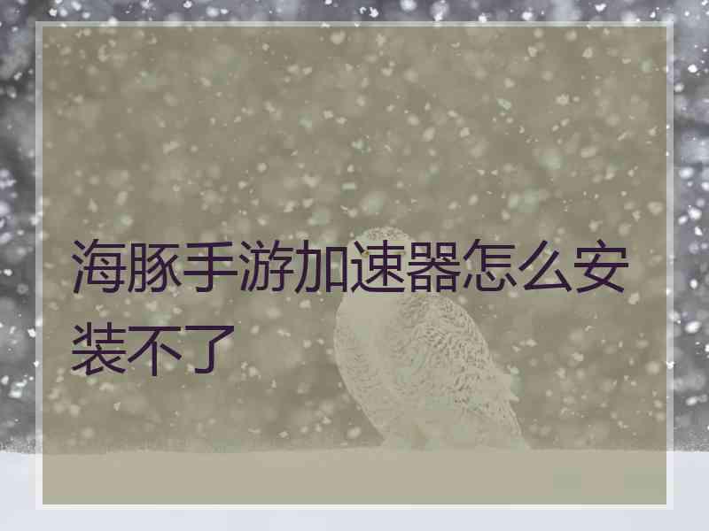 海豚手游加速器怎么安装不了
