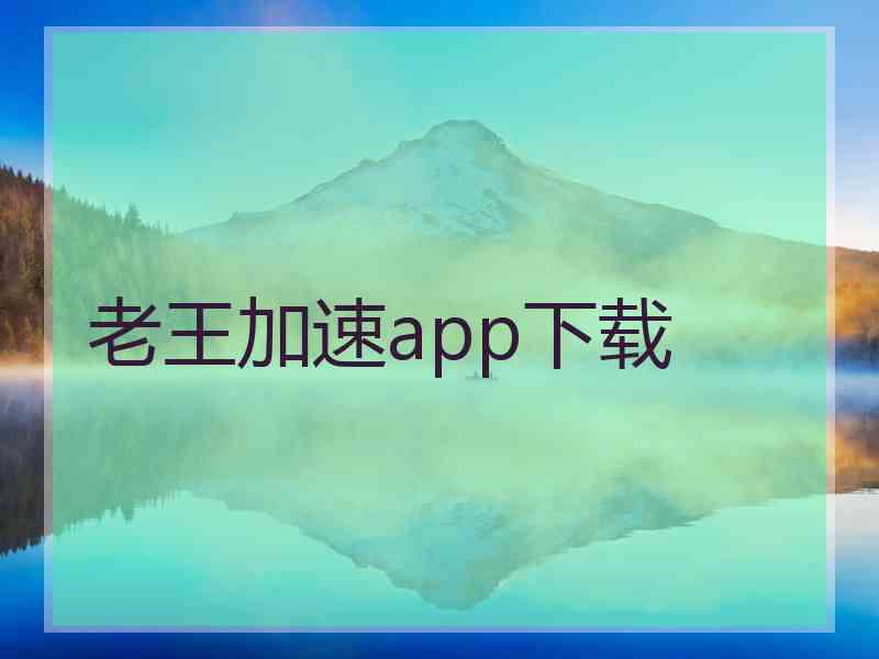 老王加速app下载