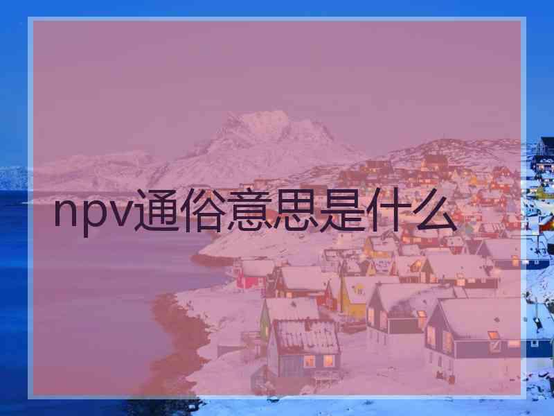 npv通俗意思是什么