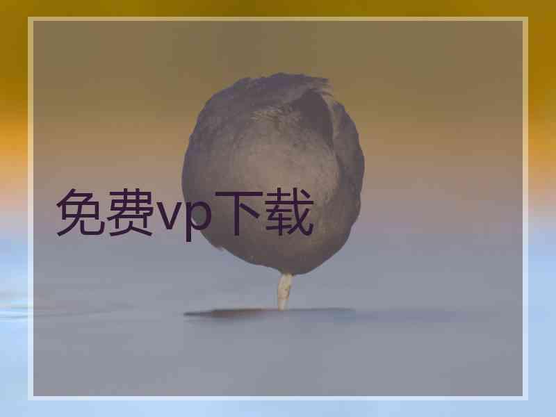 免费vp下载