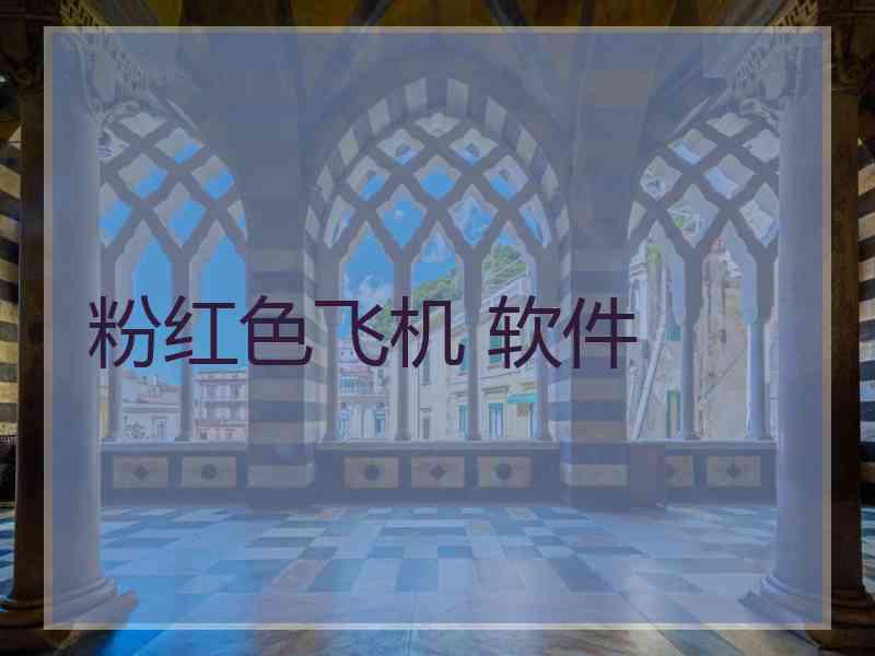 粉红色飞机 软件