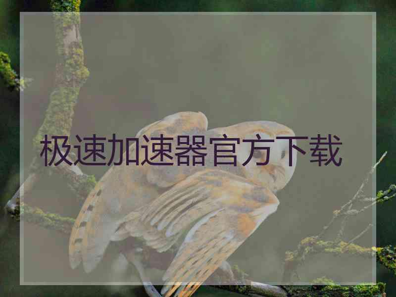 极速加速器官方下载