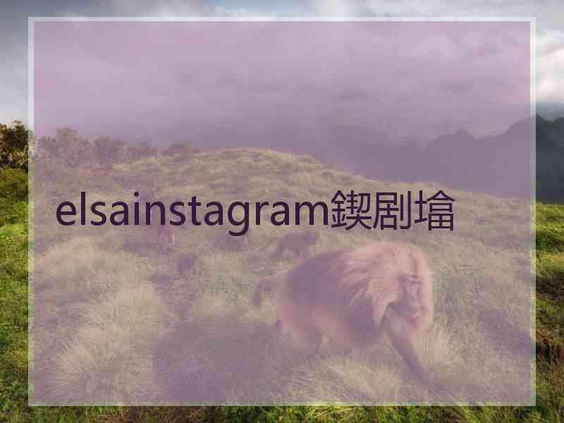 elsainstagram鍥剧墖