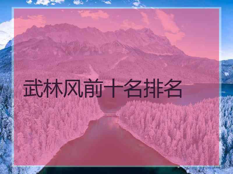 武林风前十名排名
