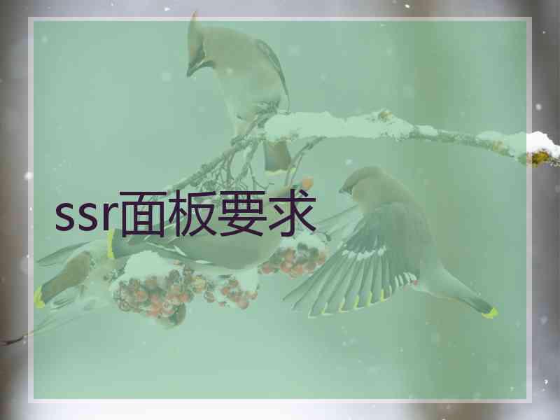 ssr面板要求
