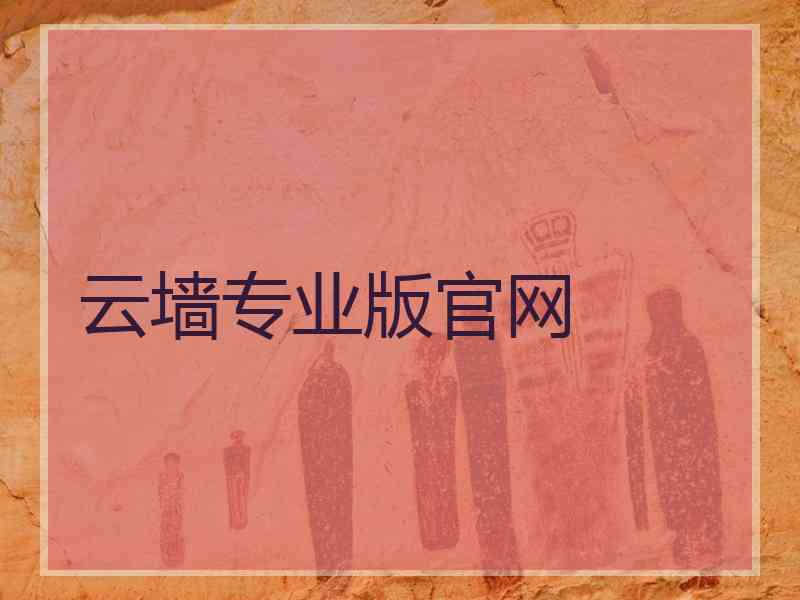 云墙专业版官网