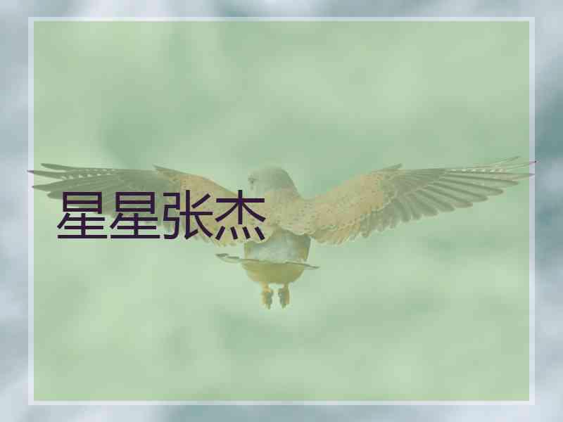 星星张杰