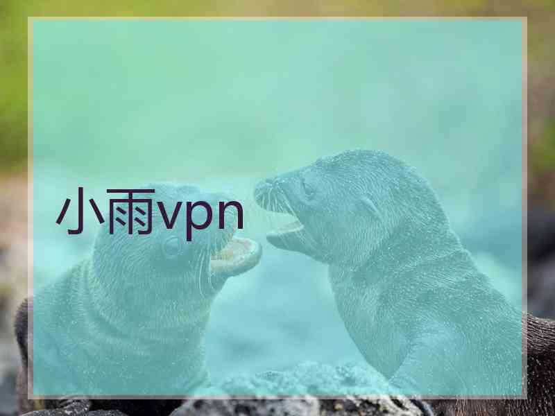 小雨vpn