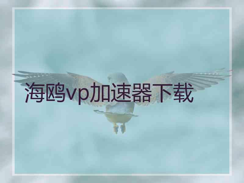 海鸥vp加速器下载