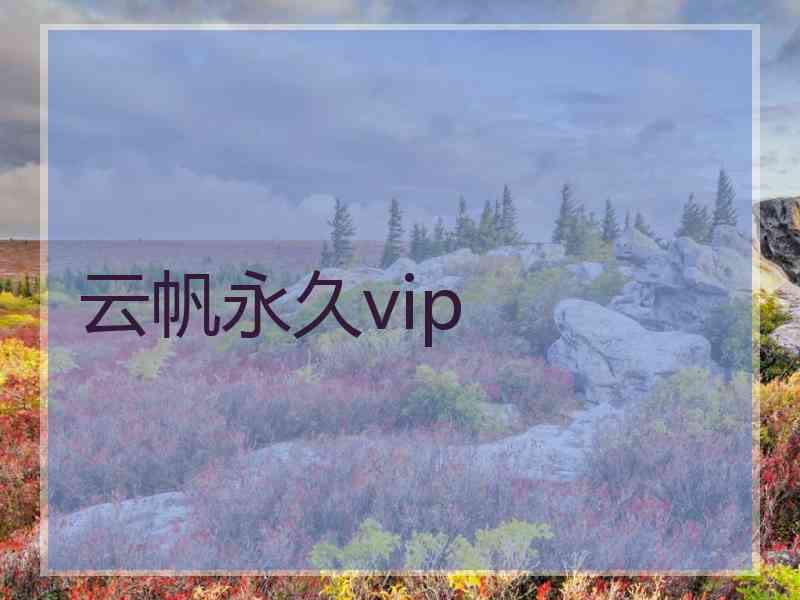 云帆永久vip