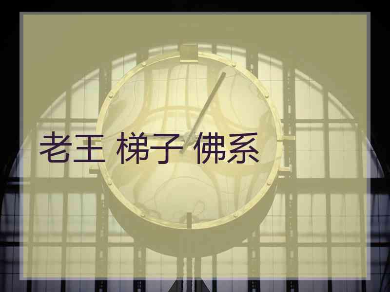 老王 梯子 佛系