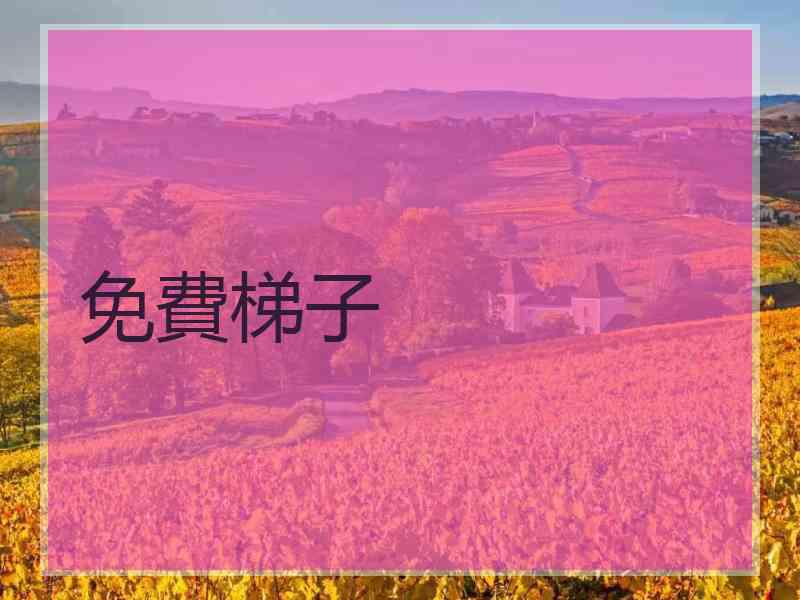 免費梯子