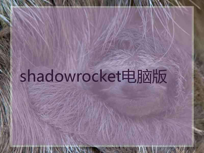 shadowrocket电脑版