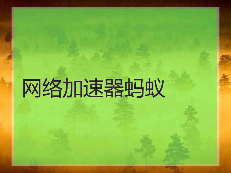 网络加速器蚂蚁