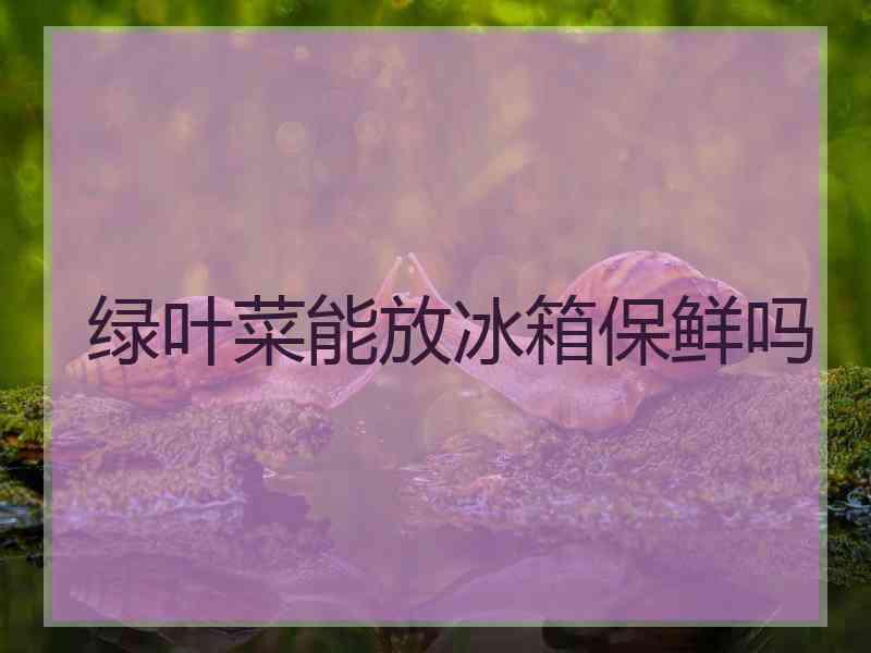 绿叶菜能放冰箱保鲜吗