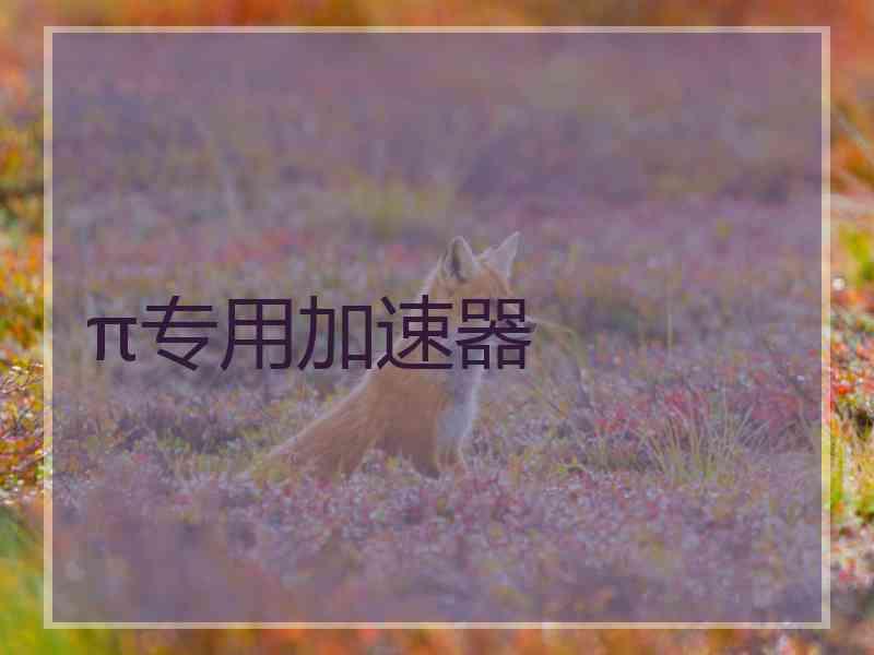 π专用加速器