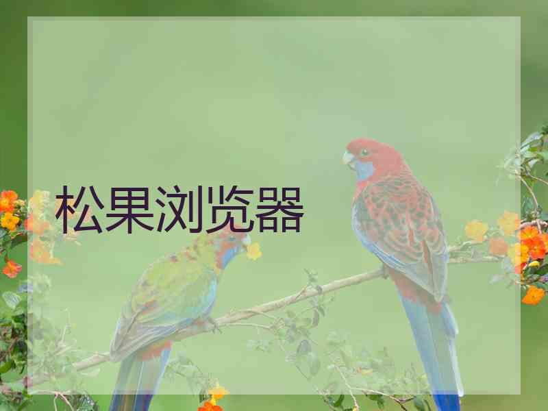 松果浏览器