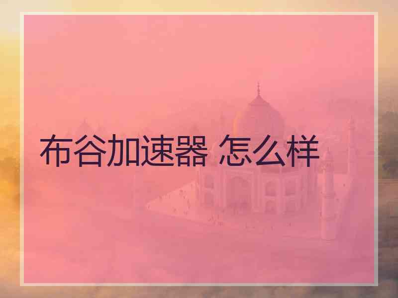布谷加速器 怎么样