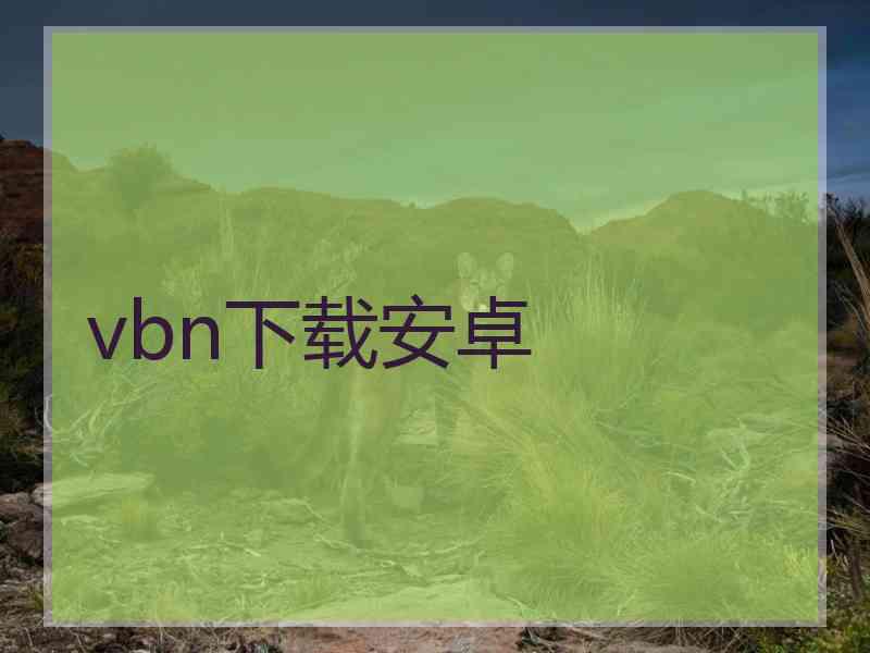 vbn下载安卓