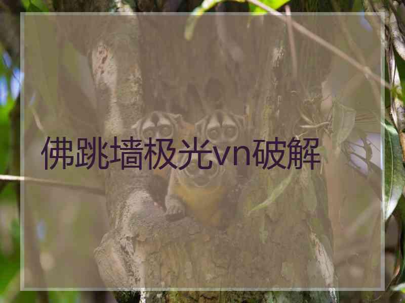佛跳墙极光vn破解