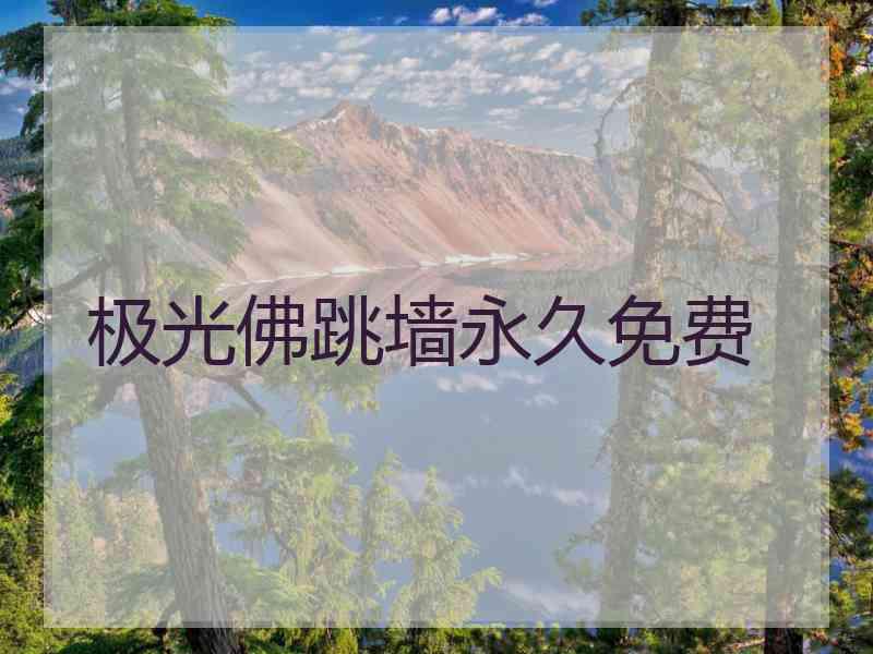 极光佛跳墙永久免费