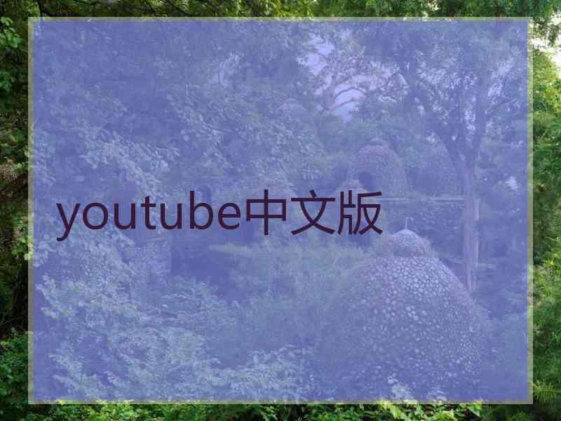 youtube中文版