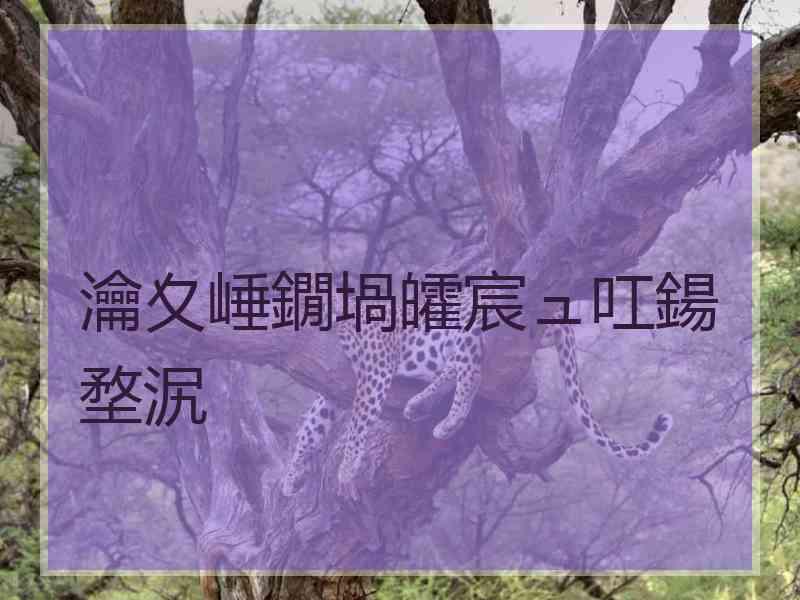 瀹夊崜鐗堝皬宸ュ叿鍚堥泦