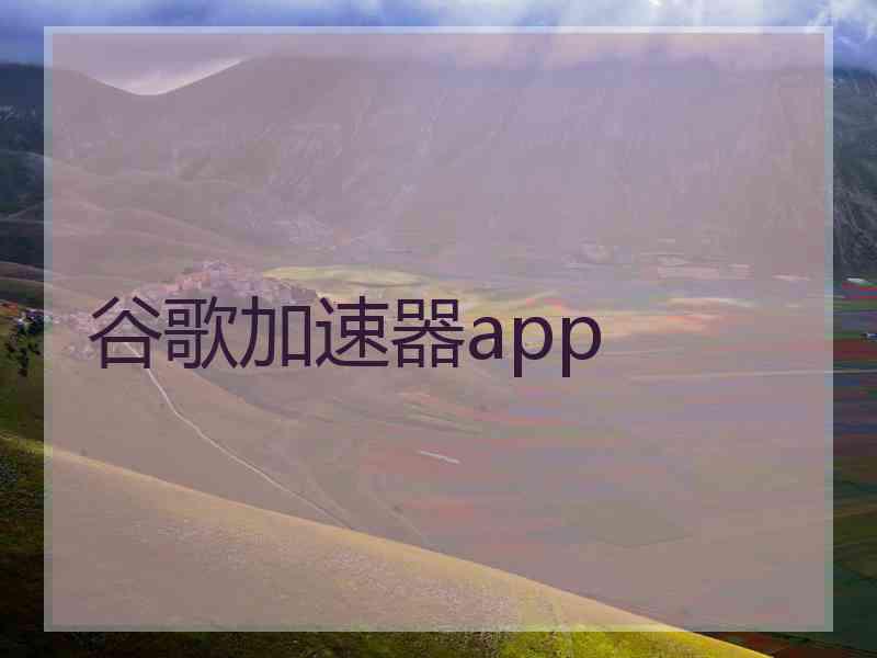 谷歌加速器app