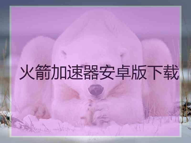 火箭加速器安卓版下载