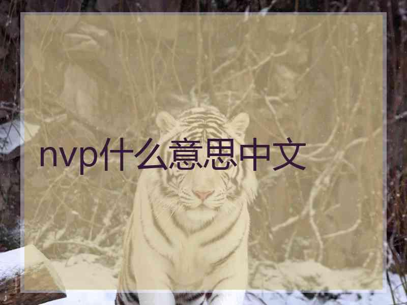 nvp什么意思中文
