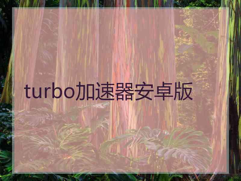 turbo加速器安卓版