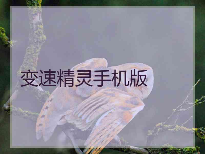 变速精灵手机版