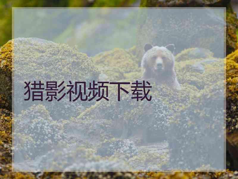 猎影视频下载