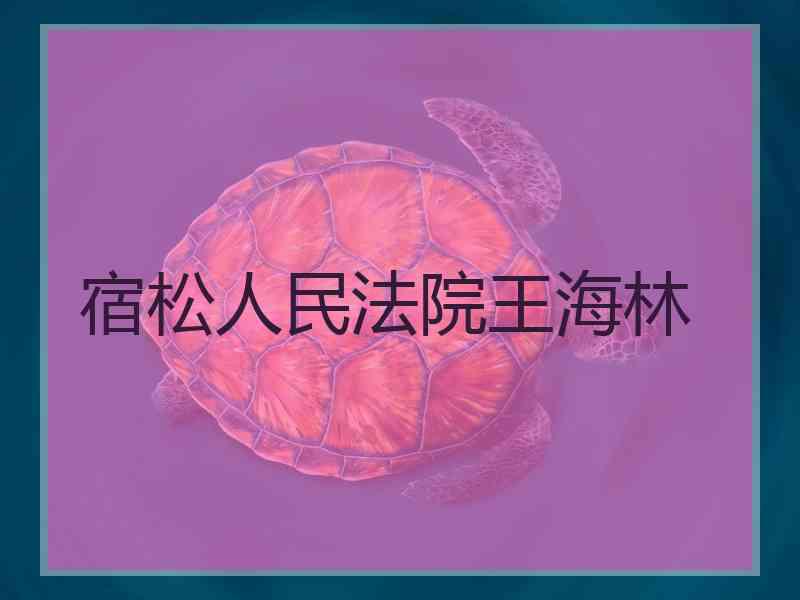 宿松人民法院王海林