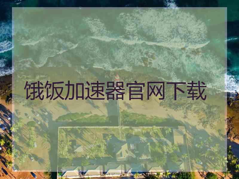 饿饭加速器官网下载