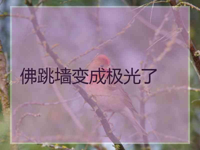 佛跳墙变成极光了