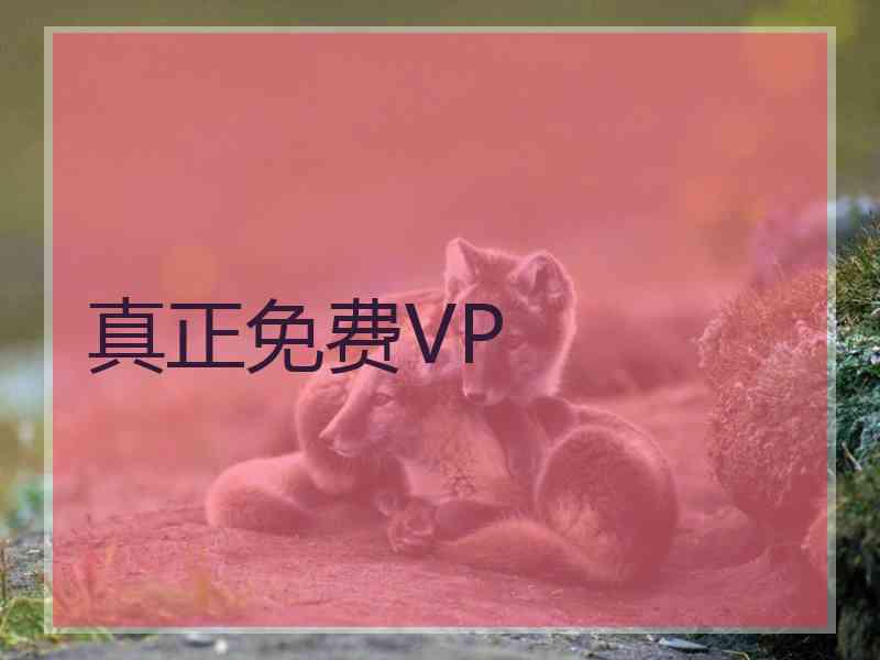 真正免费VP