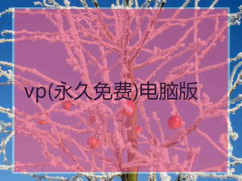 vp(永久免费)电脑版