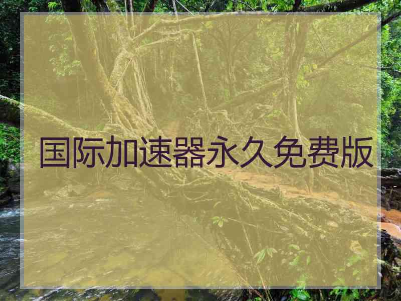 国际加速器永久免费版
