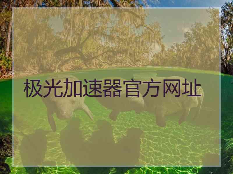 极光加速器官方网址