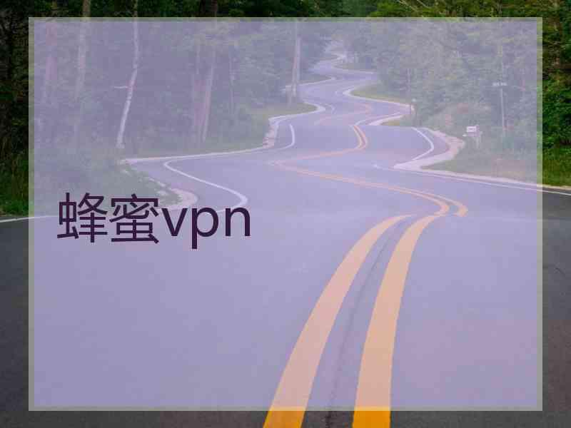 蜂蜜vpn